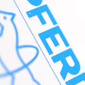 Folder Pferd