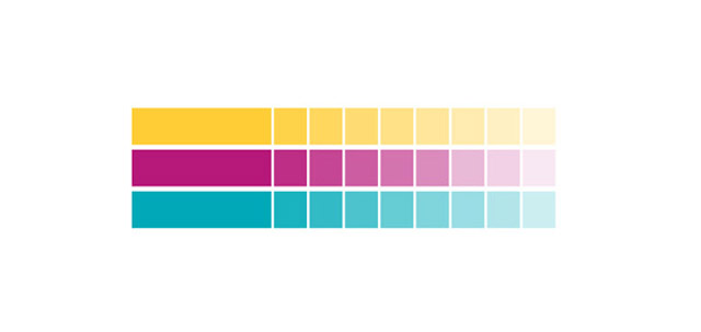 paleta de cores